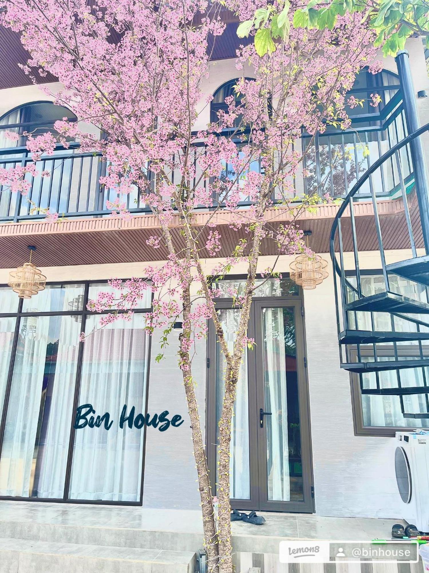 Bin House - Moc Chau Hotel Eksteriør billede